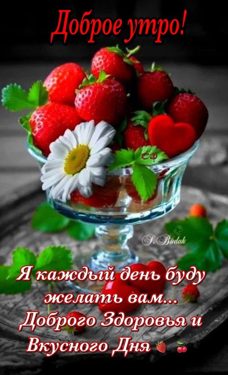 Я каждый день буду желать Зам Доброгаздоровья и Вкусного Дня
