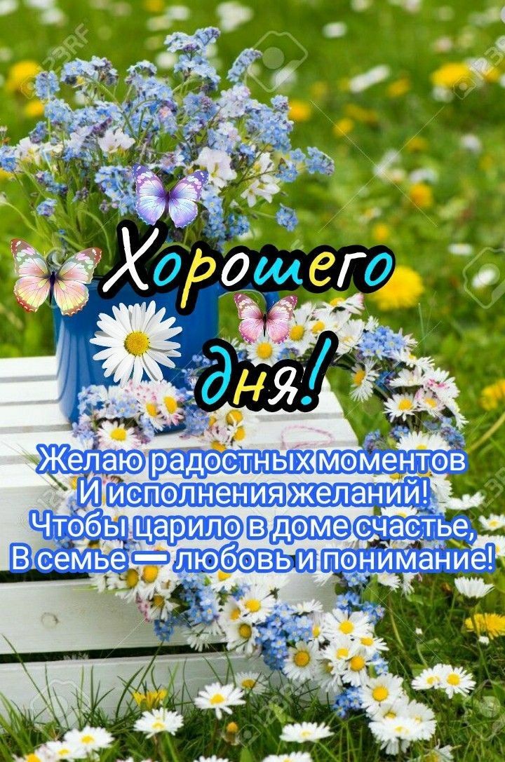 радостных исполнения __ цариловд п любовь и пеониююние