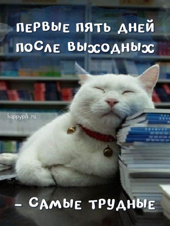 первые пять дней после выходных