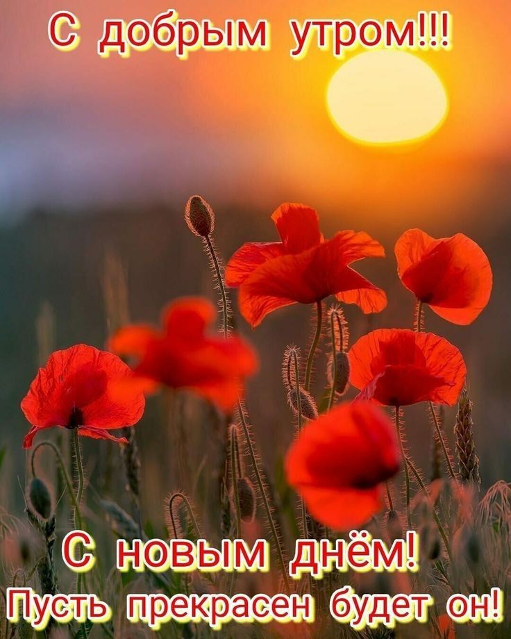 днём будете
