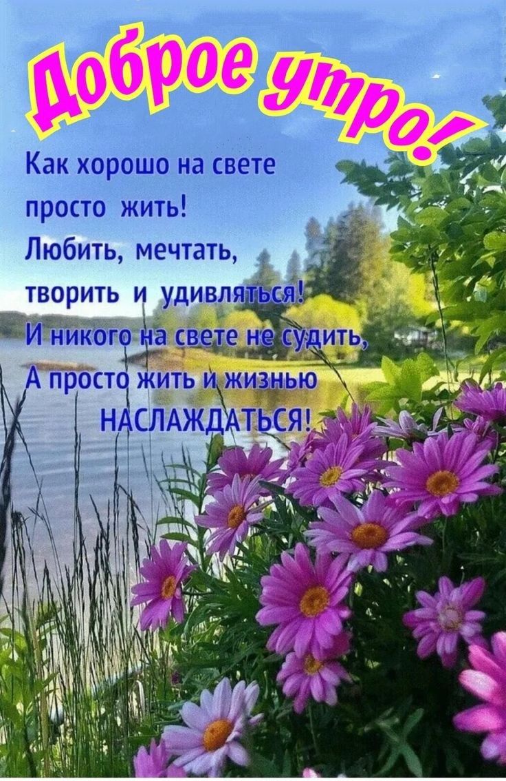 Как хорошо на свёіе просто жить Любить мечтать творить и удивляд ЁБРіЁНиког сВдетен А прост жить жизнью ЗЕЛАЖИЖТЦСЯ