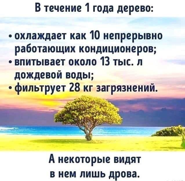 В течение 1 года дерево охлаждает как 10 непрерывно работающих кондиционеров впитывает около 13 тыс л дождевой воды фильтрует 28 кг загрязнений А некоторые ВИДЯТ В НЕМ ЛИШЬ дрова