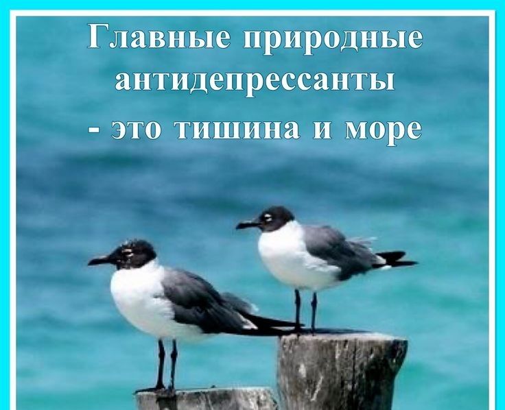 Главные природные антидепрессанты ЭТО ТИШННЯ И 0118