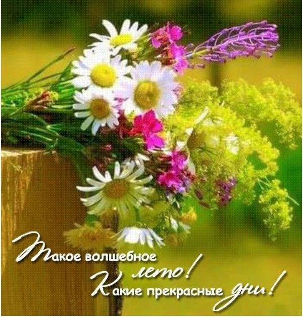 шюе волшебное то Жкие прекрасныйди