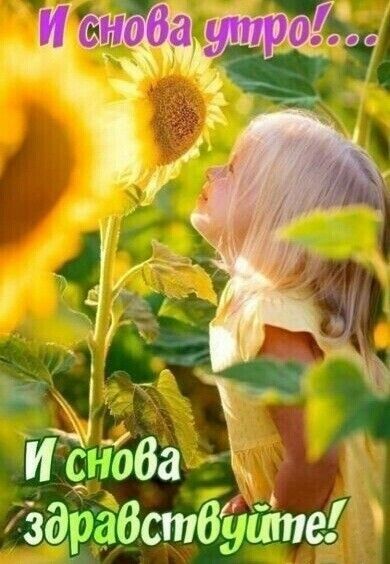 хздрадствйшпе