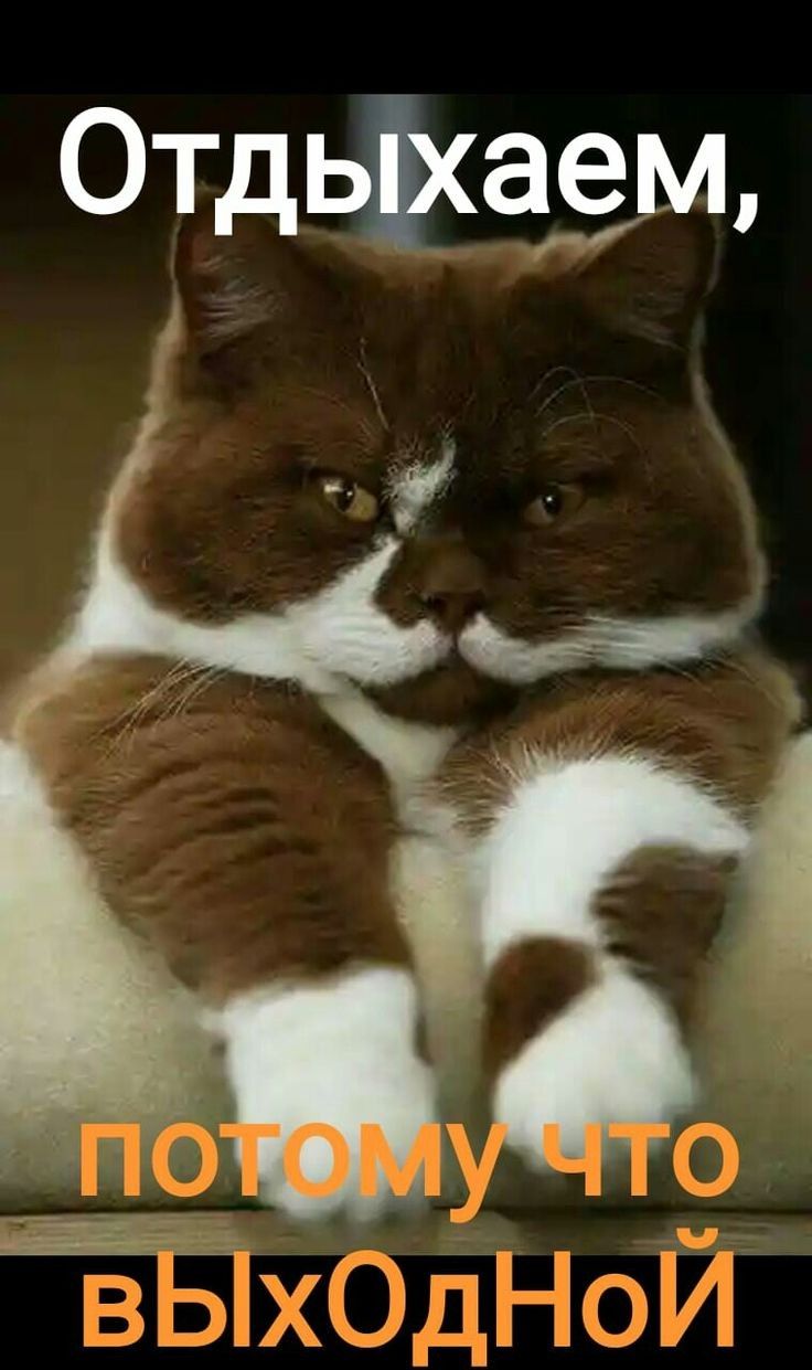 Отдыхаем,