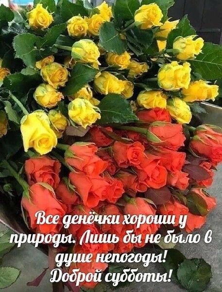 тирады Лишь бытфшо ЗЭ Юодрвй субботы