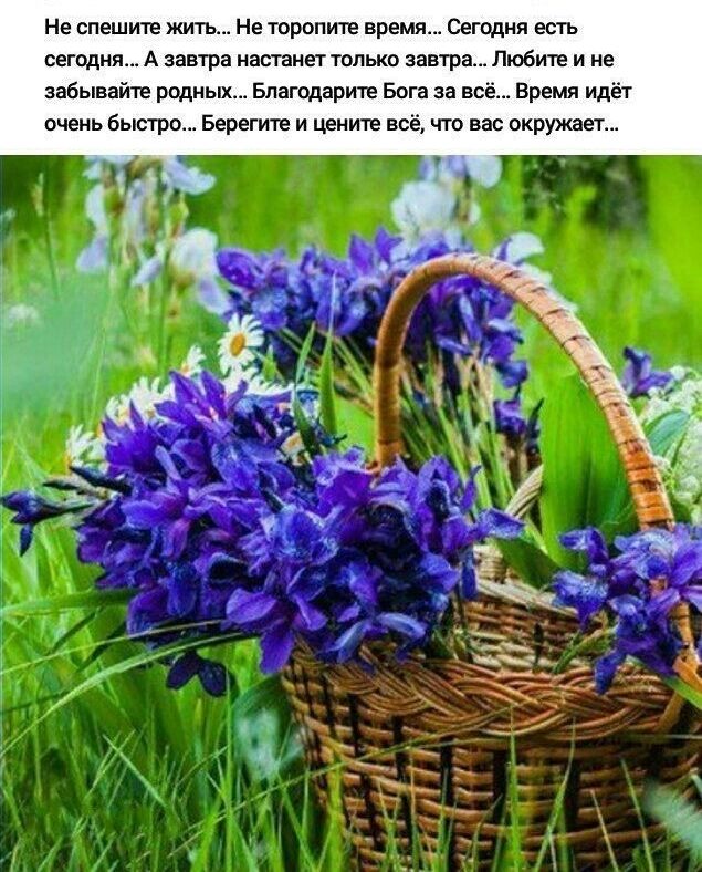 Не спешите жить Не торопите время Сегодня есть сегодня А завтра настанет только завтра Любите и не забывайте родных Бпагодарите Бога за всё Время идёт очень быстро Берегите и цените всё что вас окружает