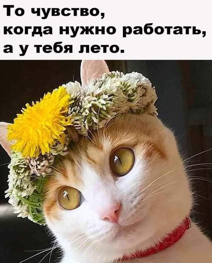 То чувство когда нужно работать а у тебя лето