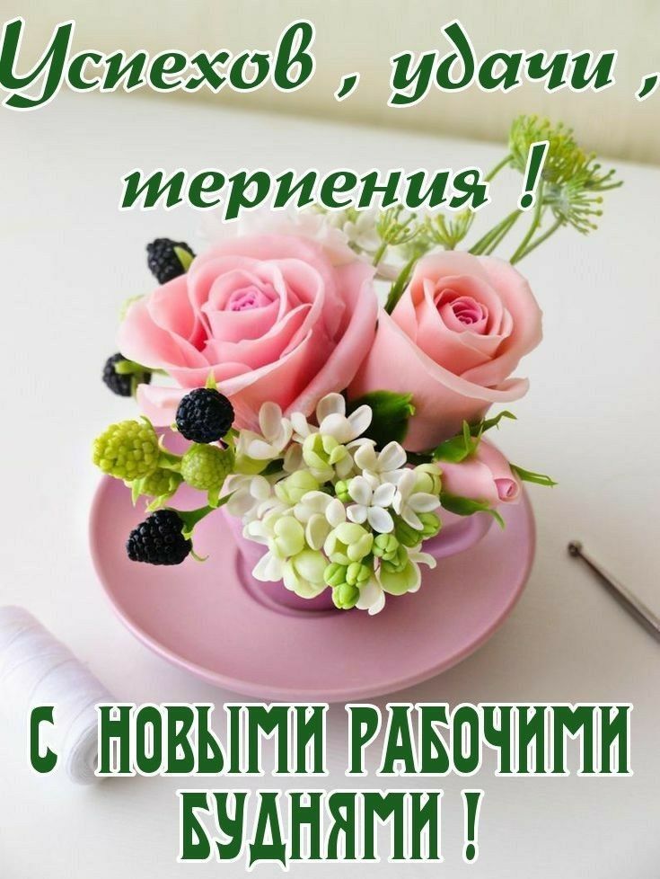 ИСИВХОВ уЬИЧИ териенця с новыптвотпи БУДНЯПН