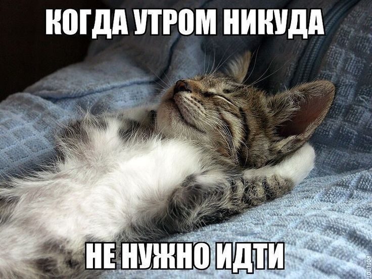 0Гдд ПРВМ НИШдд