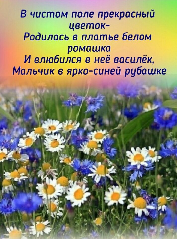 В чистом поле прекрасный цветок