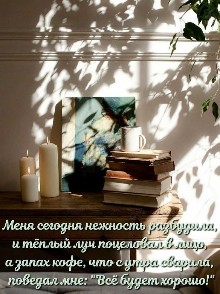 Плуи, .ц елов ти