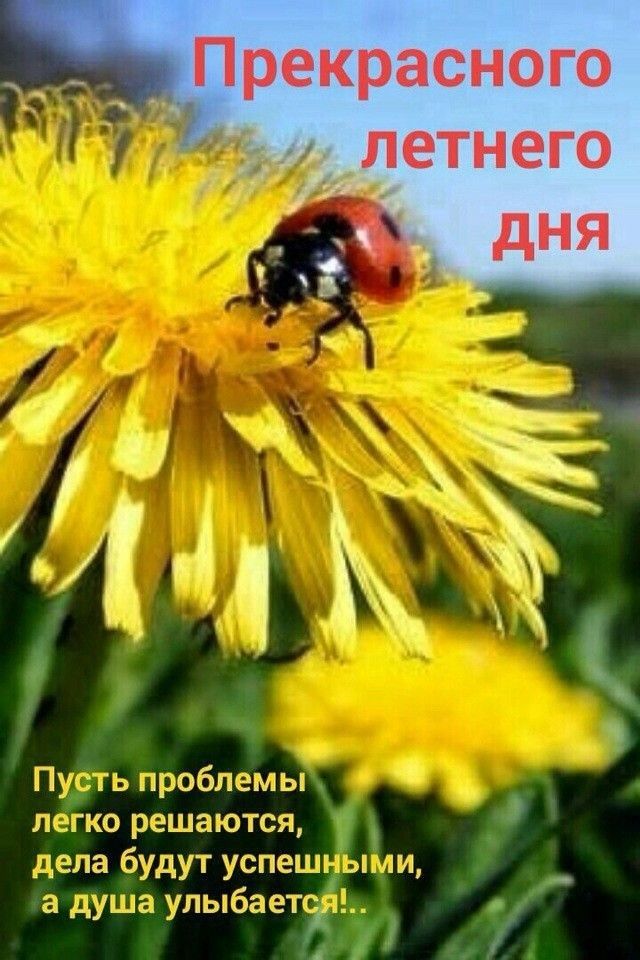 _ Прекрасного