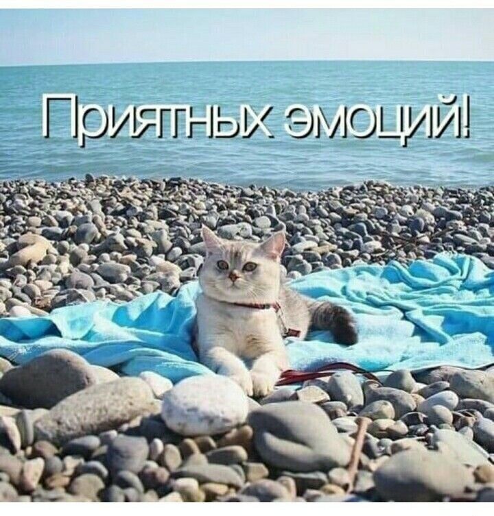 _ Г дриягньь эмоций