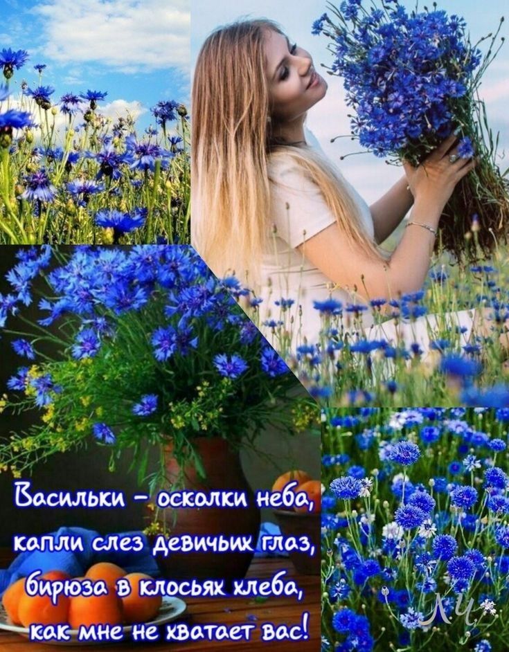 35 Василь осколки неба З капли слез девичьих глаз 73311 4 1 бирюзов вхкпосьях хлеба ци к мнеиё хвотает вос _