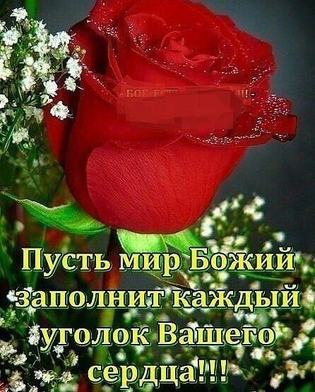 ИТ КЗЖДЕЬТИ Е За