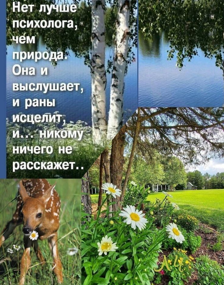 Нет лучше д  психолога,   чём