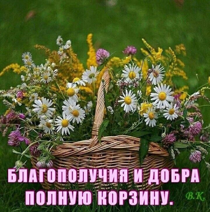 ШШШ ШПЗШШ С
