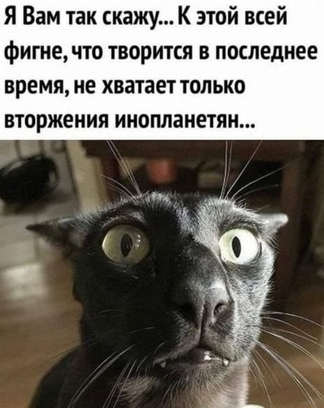Я Вам так скажу К этой всей фигне что творится в последнее время не хватает только вторжения инопланетян