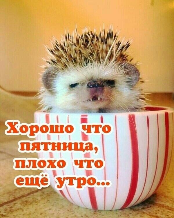 _ 391101110 ято ___ пятницр плохЕо что
