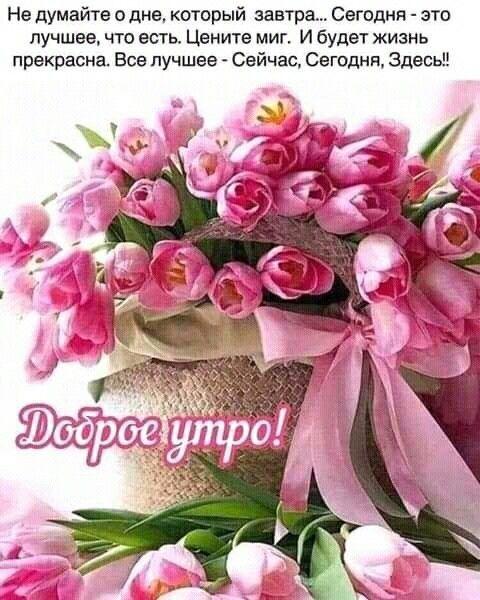 Не думайте о дне который завтра Сегодня это лучшее что есть Цвните миг И будет жизнь прекрасна Все лучшее Сейчас Сегодня Здесь