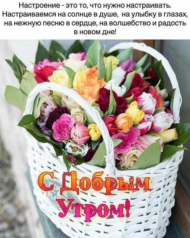 Настроение это точто нужно настраивать Настраиваемая на солнце в душе на улыбку в глазах на нежную песню в сердце на волшебство и радость в новом дне