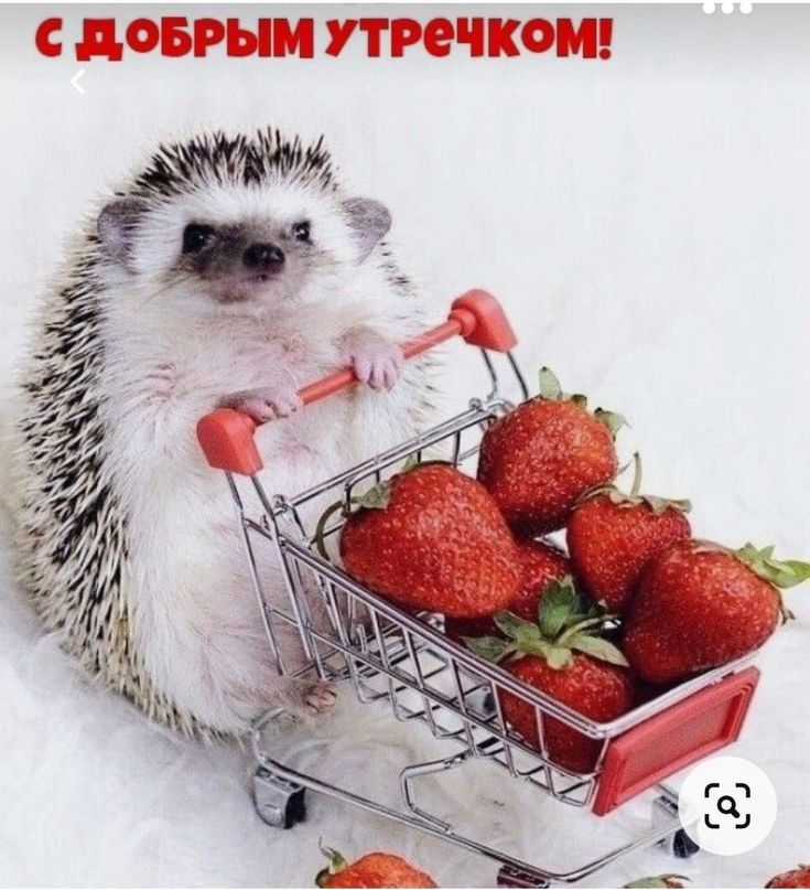 і ПСГ _ РПШ ЕТОГТ