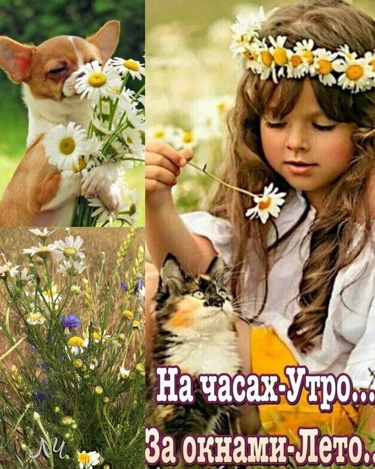 Эта За окнами Лето