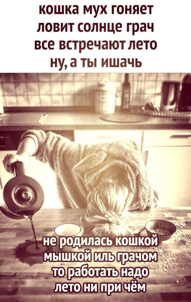 кошка МУХ ГОНЯЕТ ЛОВИТ СОЛНЦЕ грач ВСЕ встречают ЛЕТО НУ а ТЫ ИШЗЧЬ