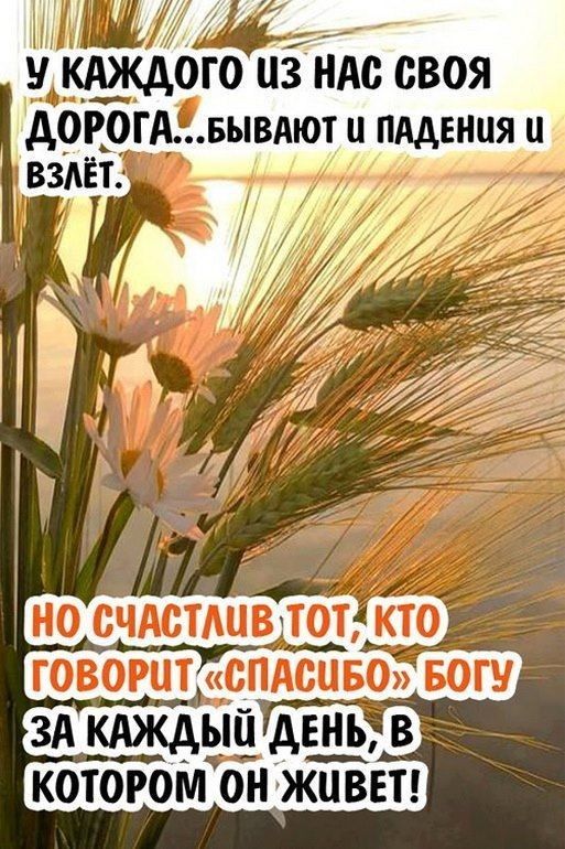 Укюкдто из ндс своя АОРОГАУ вывдют имени и КОТОРОМ ОН ЖИВЕТ