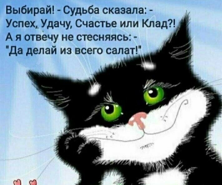 Выбирай Судьба сказала Успех Удачу Счастье или Клад А я отвечу не стесняясь Да делай из всего салат