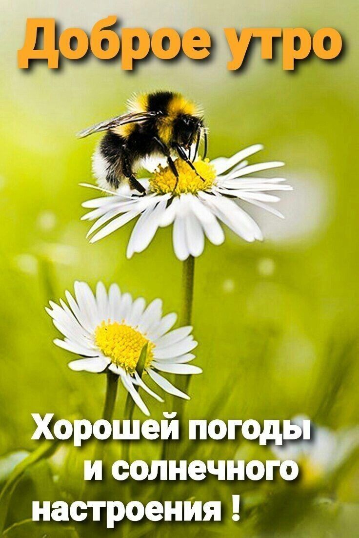 настроенИя _