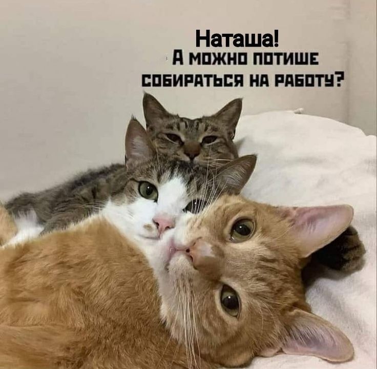 Наташа мпжнп пптишь ППЕИРПТЫШ Нд РАЕПТН