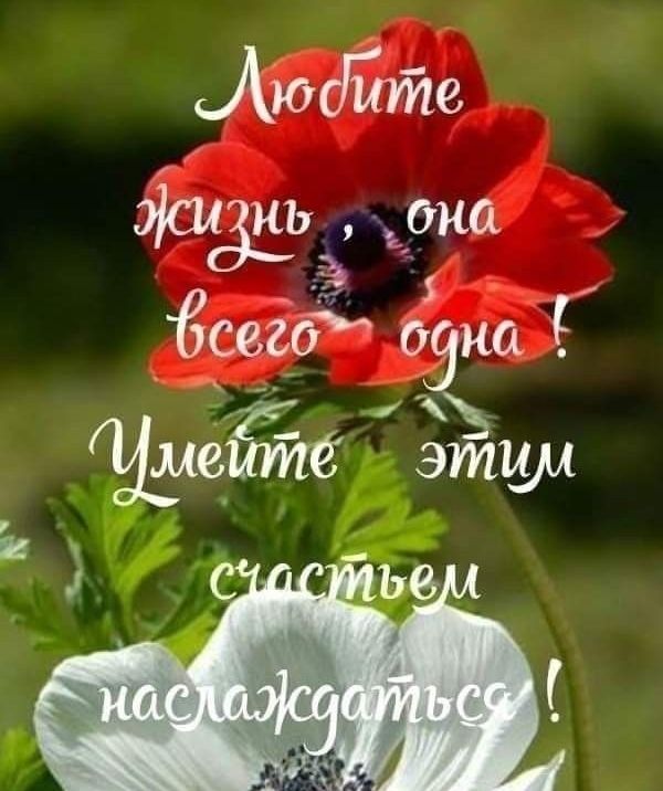 Аюдйте дашь до Ёсвіоі авиа Ё Жмите эЁЪпшл 118