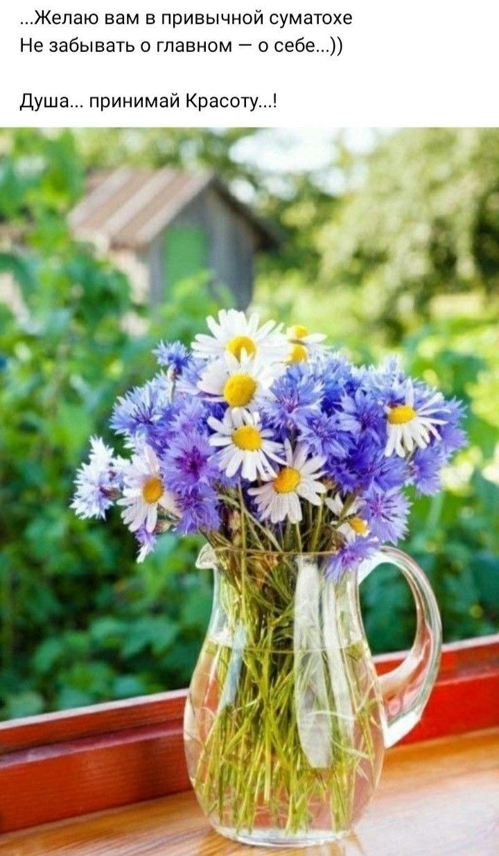 Желаю вам в привычной суматохе Не забывать о главном о себе Душа принимай Красоту