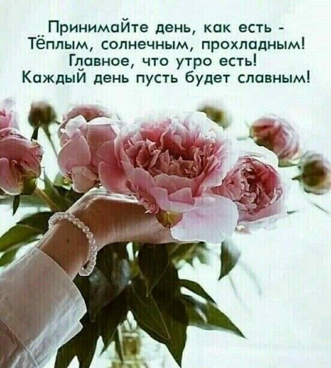 Принимайте день как есть Тёплым солнечным прохладным Главное что утро есть Каждый день пусть будет славным