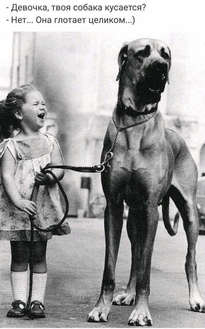 Девочка твоя собака кусается Нет Она глотает целиком