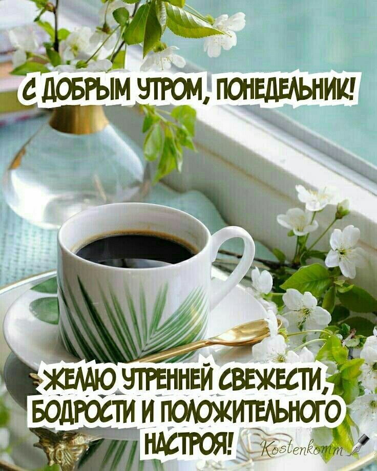 т ьдобре!м утром понедельник!