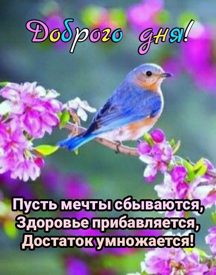 ч _1 у _ Пусть мечты сбываются у Здоровье прибавляется достаток умножается