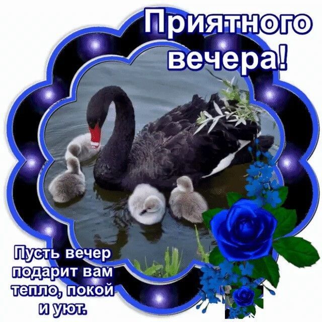 Ч  о подарит вам а па