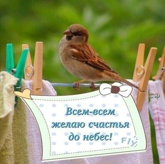 желаю счастья  до небес!