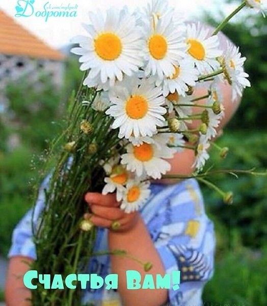 Считъ