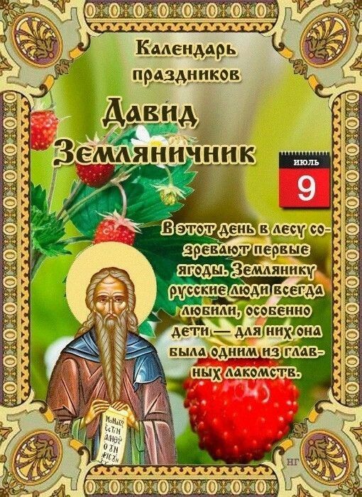 Ееденмеь наездил