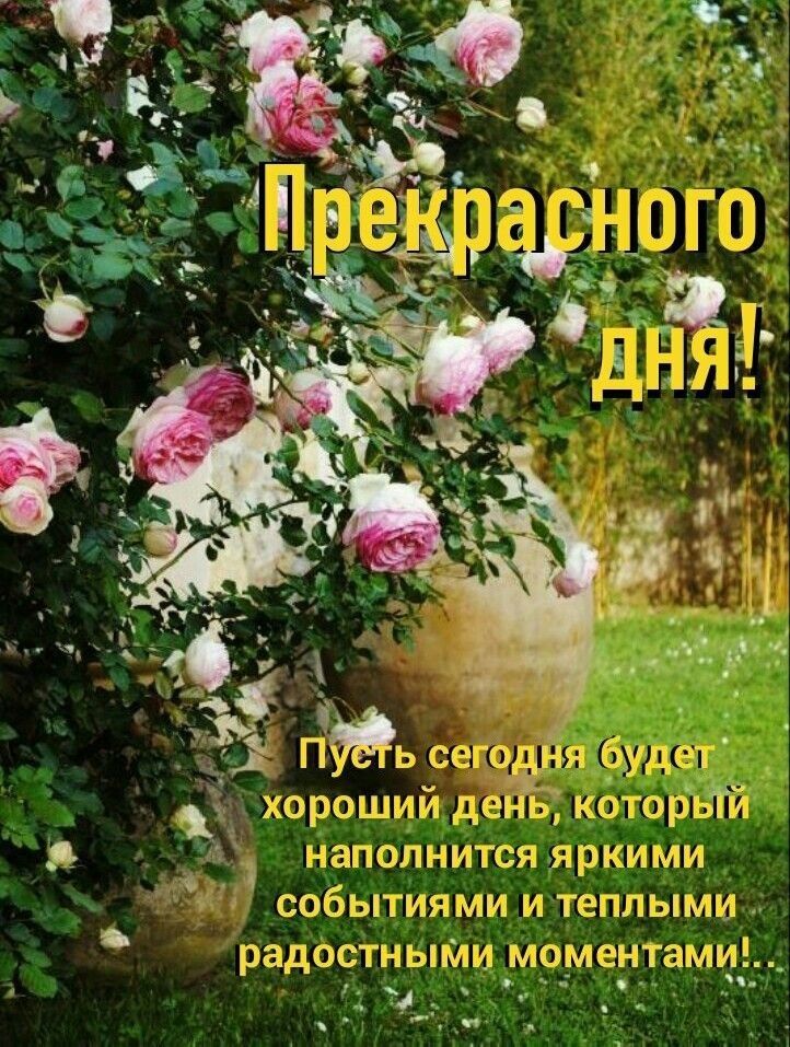 магнат 1 ся яркиищи сабытишшни ш тепщыми рад ос ныйли масла п атм _ 1 _ И