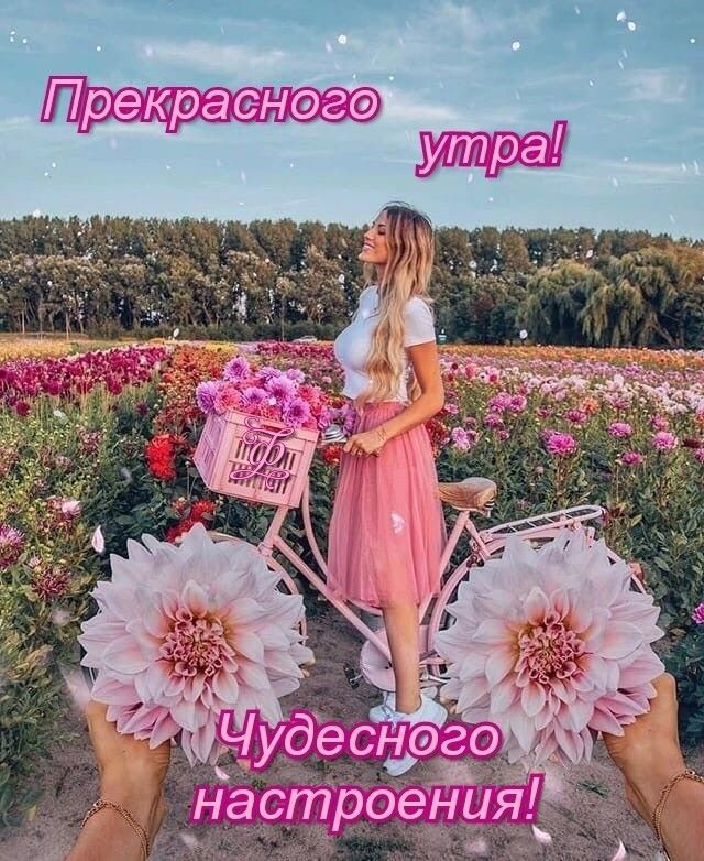 ГТААтА цифд дрдф