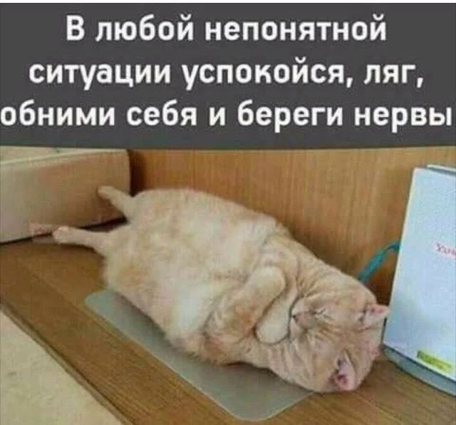 В любой непонятной ситуации успокойся ляг обними себя и береги нервы