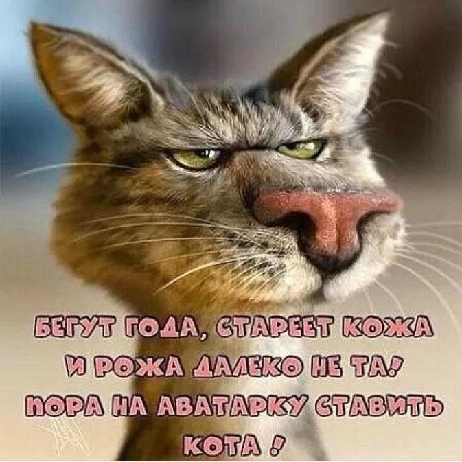 ГОДА ьЁіЁХЕЕЗЁ НАА АВАТ 65