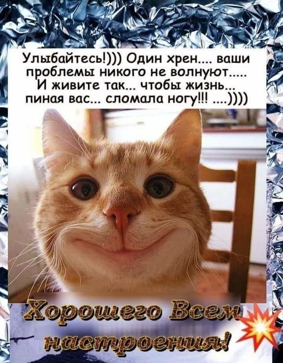 А _ х Улыбайтесь Один хрен ваши проблемы никого не волну И живите так чтобы жизнь пиная вас сломала ногу