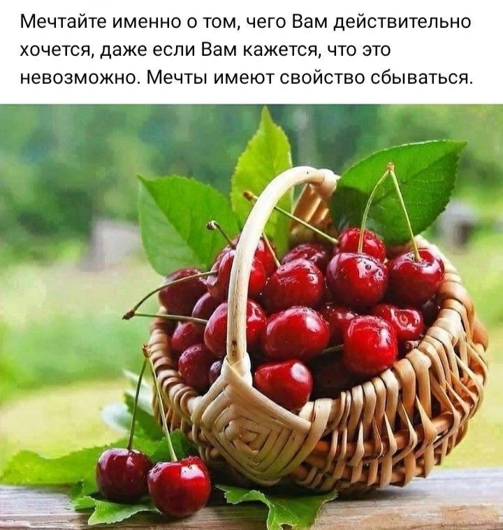 Мечтайте именно о том чего Вам действительно хочется даже если Вам кажется что это невозможно Мечты имеют свойство сбываться